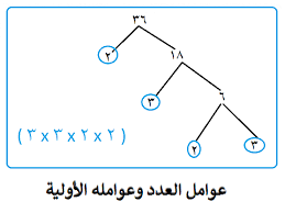 عوامل العدد