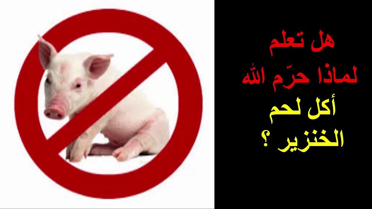 لماذا حرم الله لحم الخنزير |سما مكس